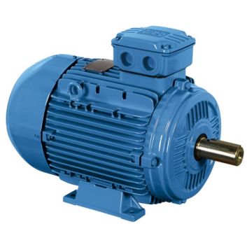 0.18kW 2 pole, 63frame, foot mount, W21